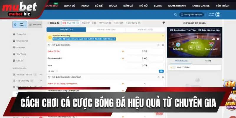 Cách chơi cá cược bóng đá hiệu quả mubet