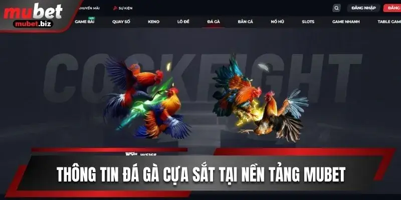 đá gà cựa sắt mubet