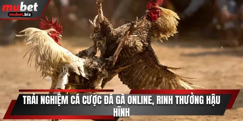 đá gà online mubet