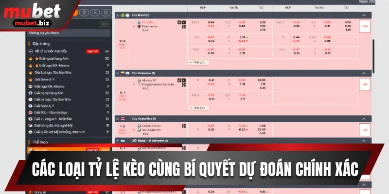 Tỷ lệ kèo mubet