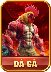 Đá gà