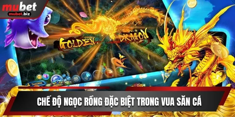 Chế độ ngọc rồng đặc biệt trong Vua Săn Cá
