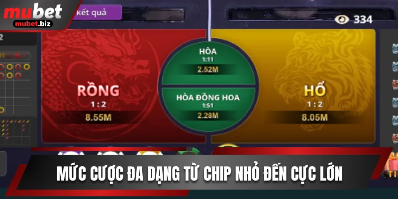 Mức cược đa dạng từ chip nhỏ đến cực lớn